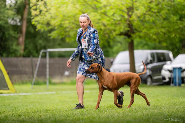 Klubová výstava KCHRR – 16. května 2026