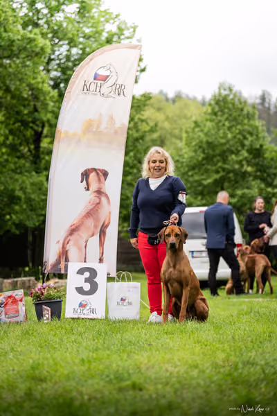 Klubová výstava KCHRR – 16. května 2026