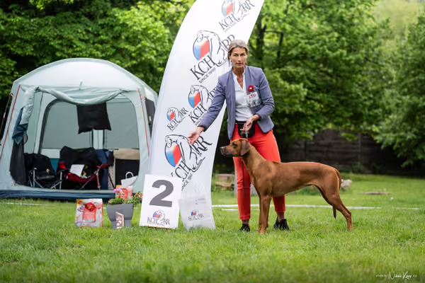 Klubová výstava KCHRR – 16. května 2026