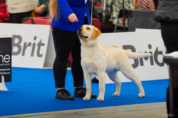 For Pets Cup — DSC00378