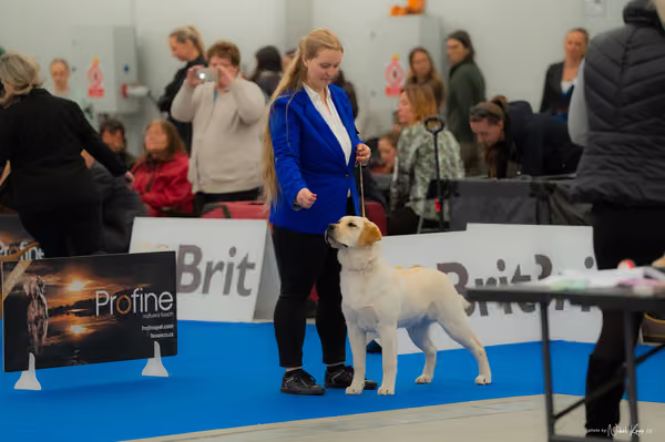 For Pets Cup — DSC00383
