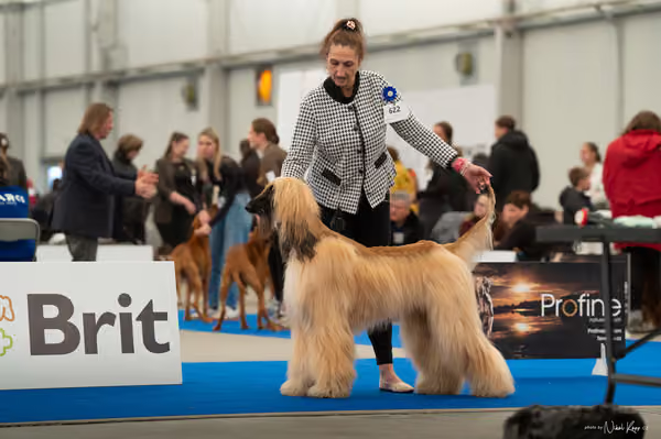 For Pets Cup — DSC00788