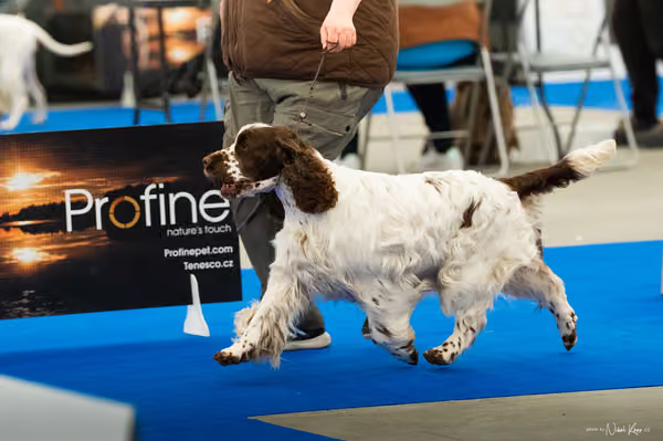 For Pets Cup — DSC00250