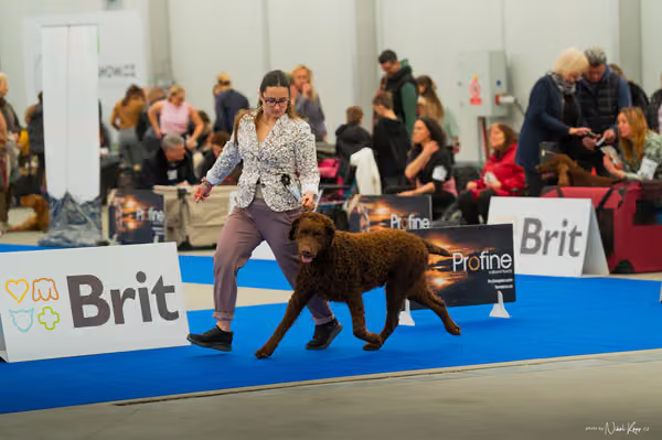 For Pets Cup — DSC00338