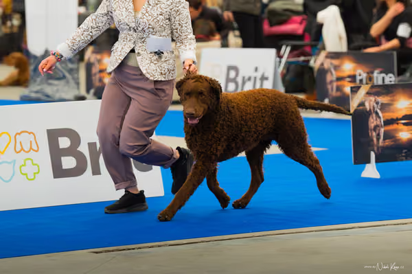 For Pets Cup — DSC00339