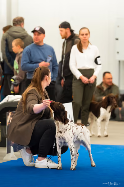 For Pets Cup — DSC01137