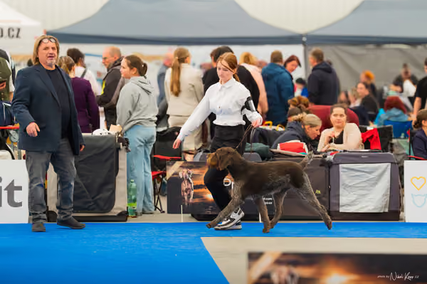 For Pets Cup — DSC01287