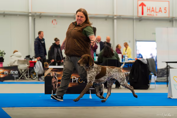 For Pets Cup — DSC01386