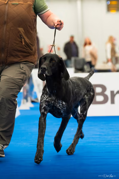 For Pets Cup — DSC01419