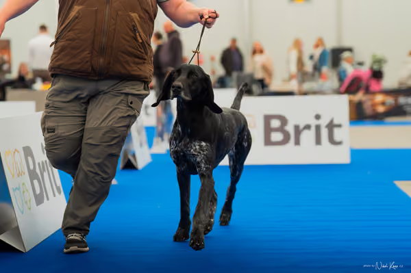 For Pets Cup — DSC01422