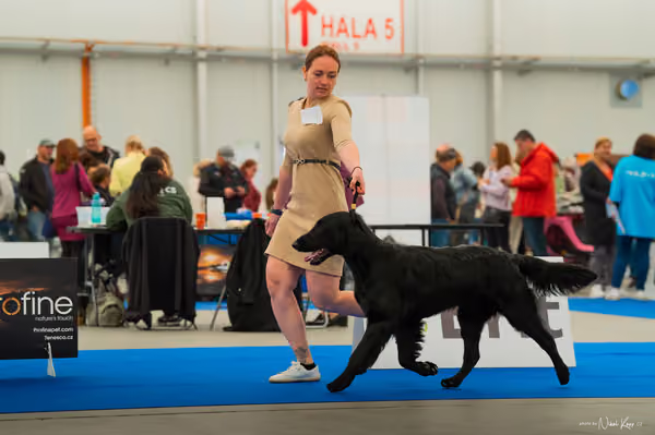 For Pets Cup — DSC01455
