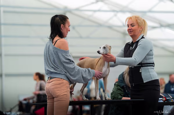 For Pets Cup — DSC01458