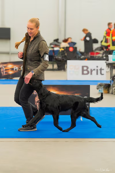 For Pets Cup — DSC01494