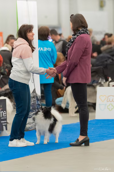 For Pets Cup — DSC00456