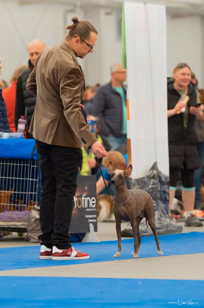 For Pets Cup — DSC00713