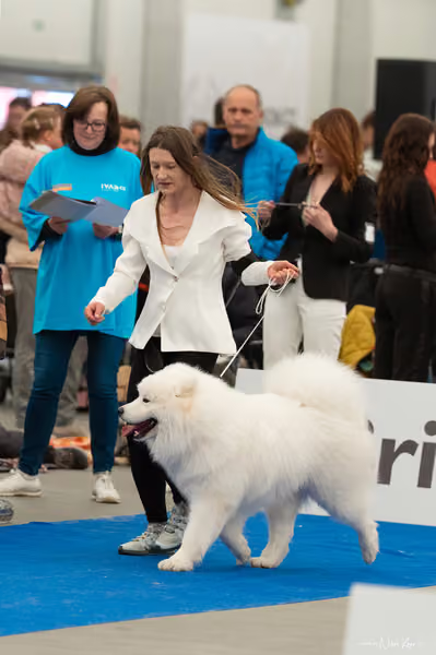 For Pets Cup — DSC00735