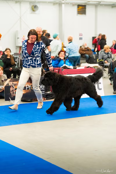 For Pets Cup — DSC00486