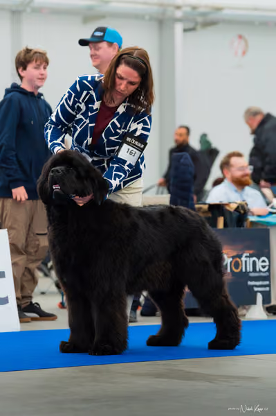 For Pets Cup — DSC00492