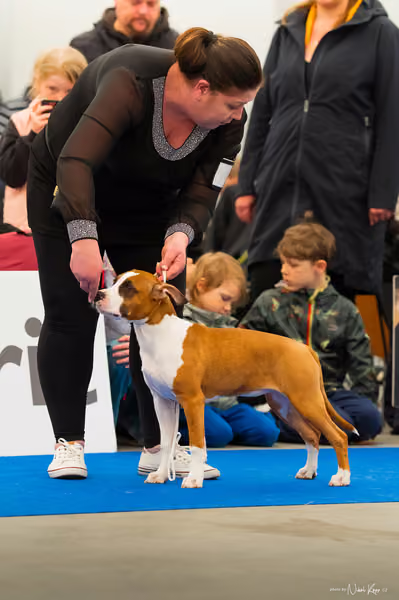 For Pets Cup — DSC00991