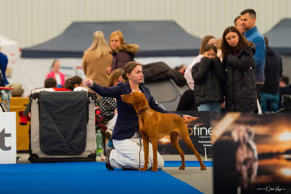 For Pets Cup — DSC01043