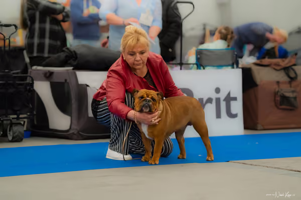 For Pets Cup – KRUH 10
