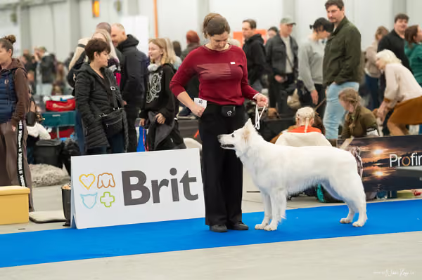 For Pets Cup — DSC00217