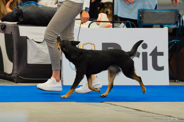 For Pets Cup – KRUH 10