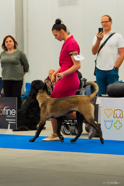 For Pets Cup — DSC00026