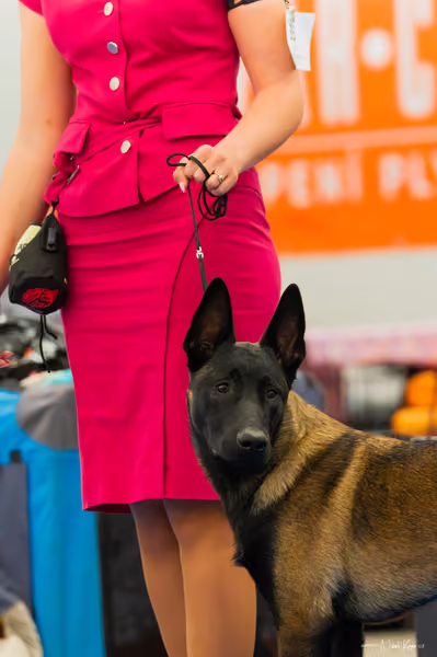 For Pets Cup — DSC00032