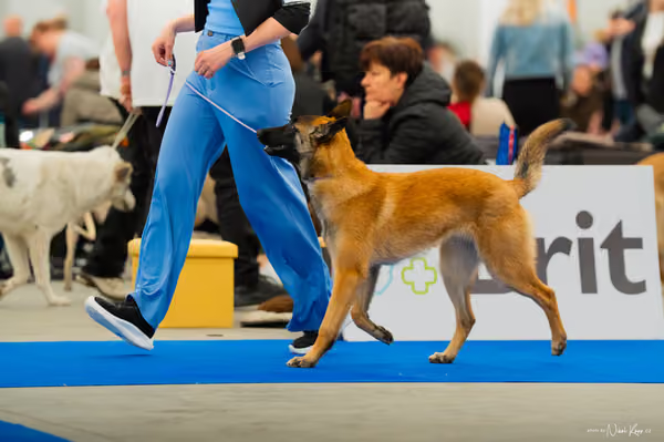 For Pets Cup — DSC00117