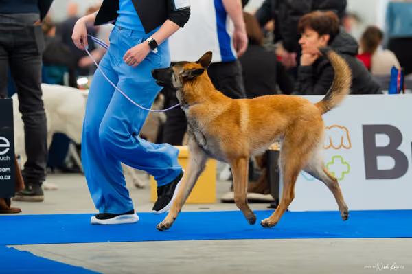 For Pets Cup — DSC00118