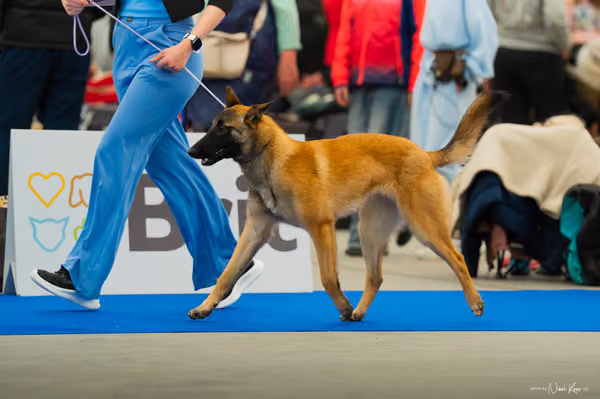 For Pets Cup — DSC00136