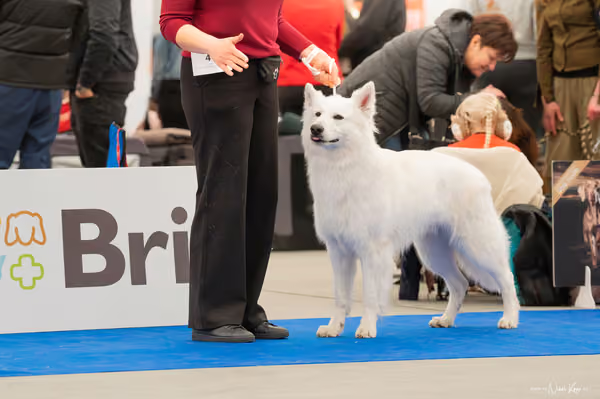 For Pets Cup — DSC00196