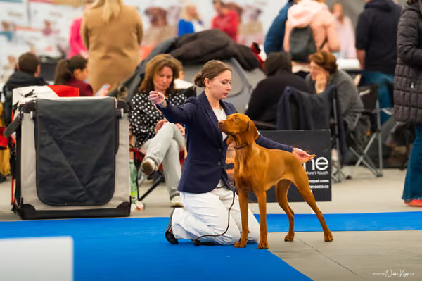 For Pets Cup — DSC01030