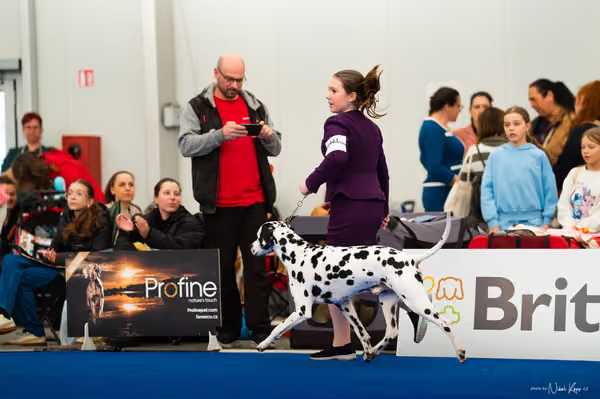 For Pets Cup — DSC01949