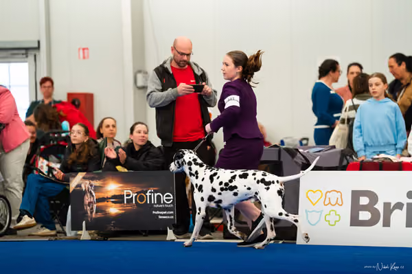 For Pets Cup — DSC01950