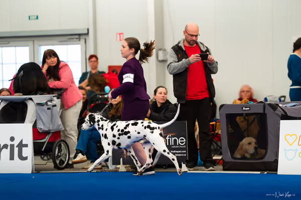 For Pets Cup — DSC01955