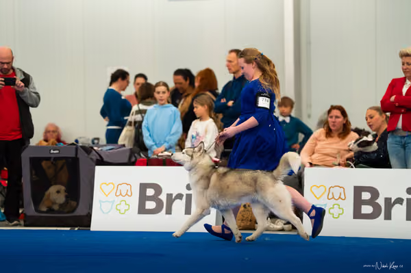 For Pets Cup — DSC01956