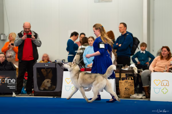 For Pets Cup — DSC01959