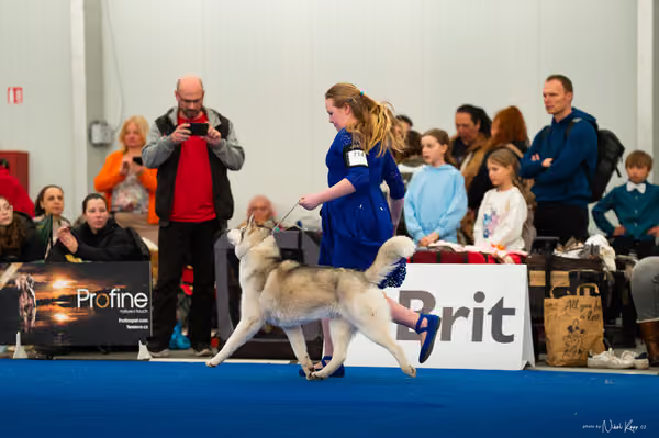 For Pets Cup — DSC01962
