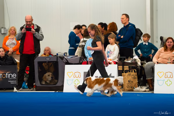 For Pets Cup — DSC01967