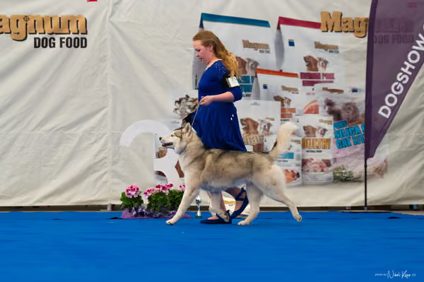 For Pets Cup — DSC01970