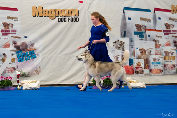 For Pets Cup — DSC01973