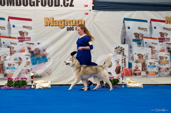 For Pets Cup — DSC01975