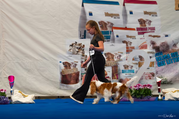 For Pets Cup — DSC01976