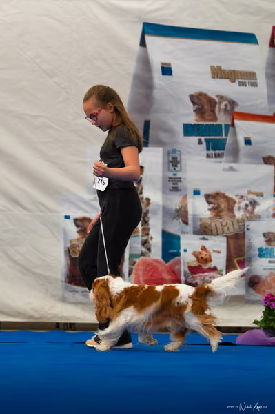 For Pets Cup — DSC01979