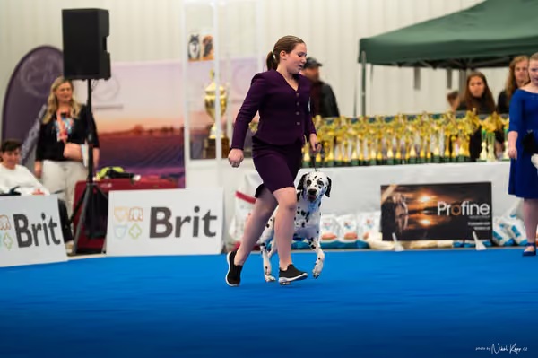 For Pets Cup — DSC01981