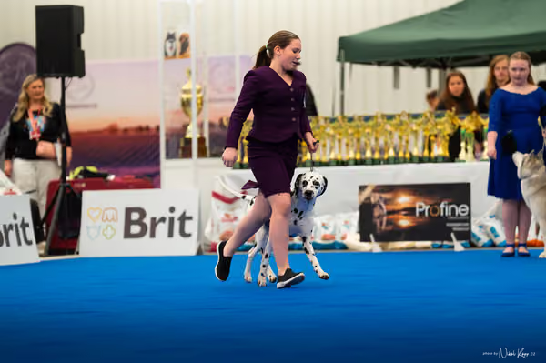 For Pets Cup — DSC01982