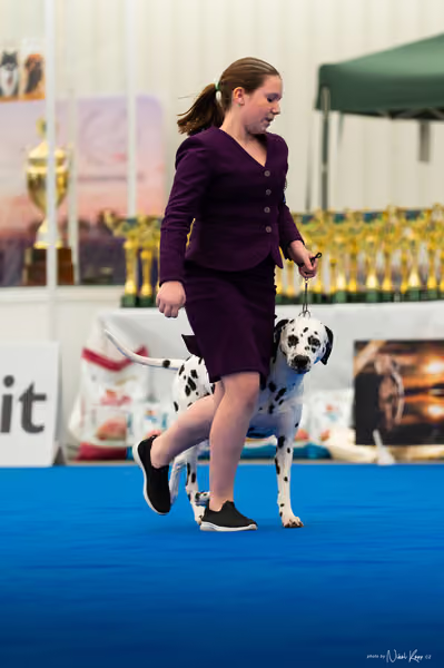 For Pets Cup — DSC01983