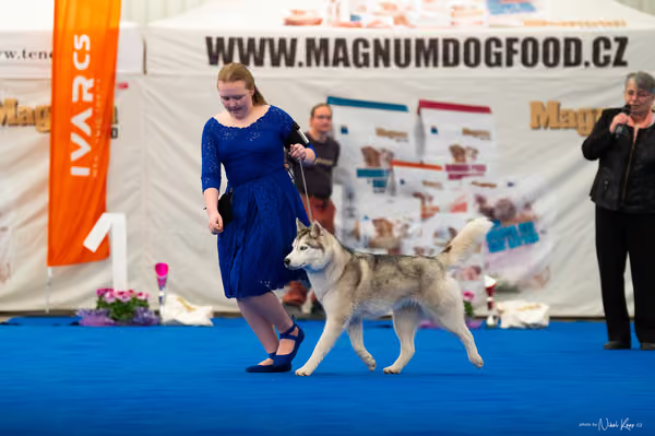 For Pets Cup — DSC02008